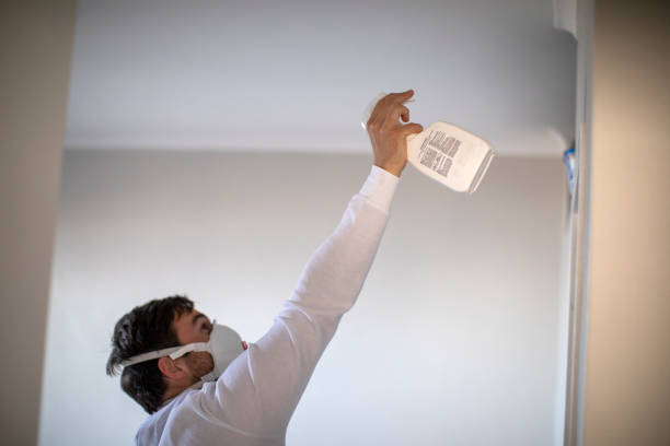 Best Mold Remediation Services  in Belvedere, CA