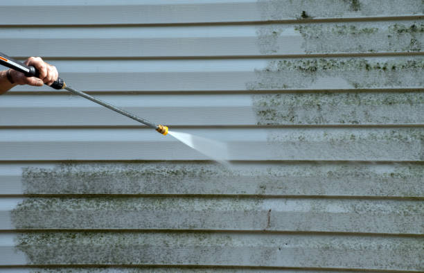 Best Attic Mold Removal  in Belvedere, CA
