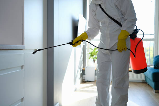 Water Damage Restoration in Belvedere, CA