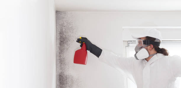 Best Crawl Space Mold Removal  in Belvedere, CA
